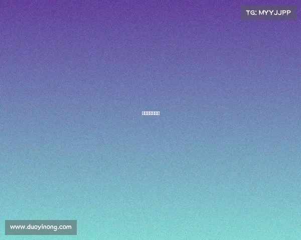 上海斯巴达比赛