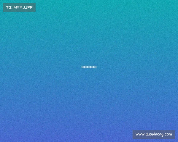 切尔西最近赛事有哪些