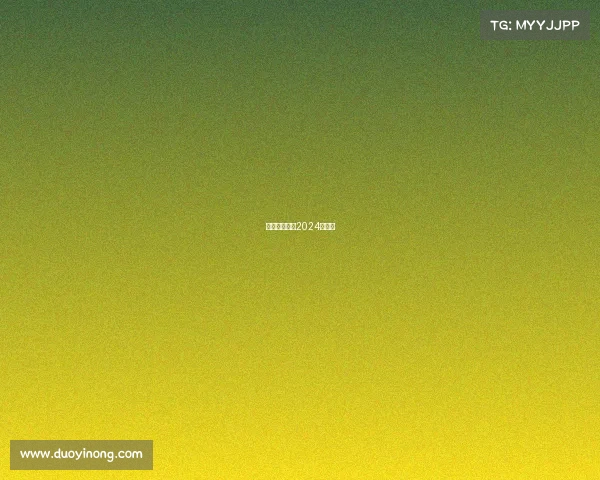 厦门田径赛事2024赛程表