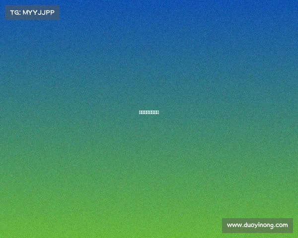 拳击赛事计划官网