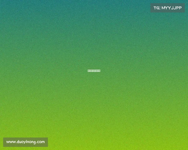 汉阴村超赛事详情