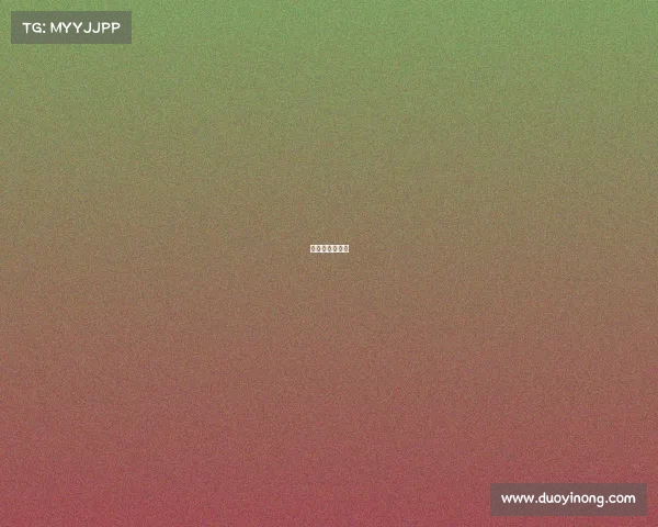 美国最火的赛事